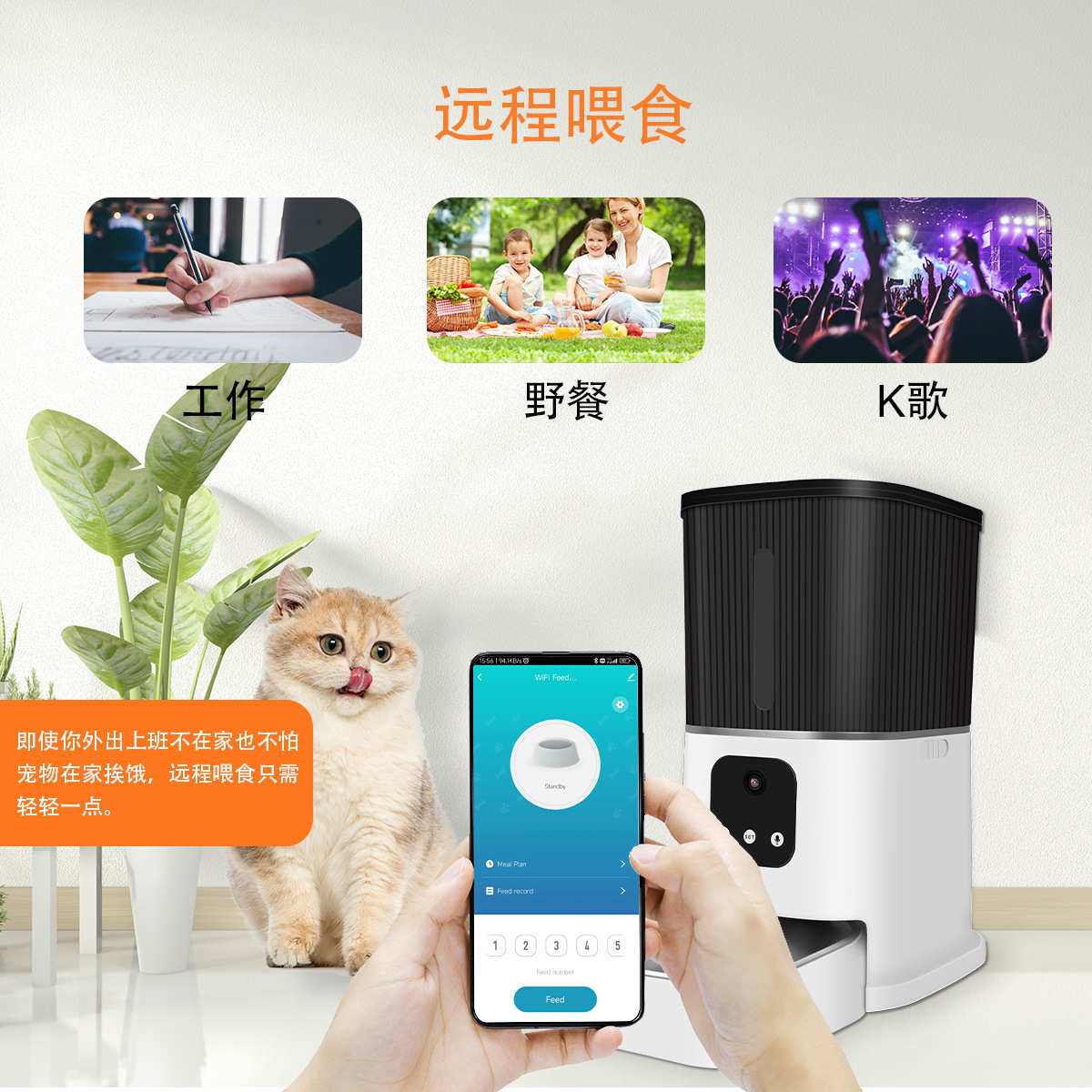 智能宠物自动喂食器猫咪狗狗定时定量投食机