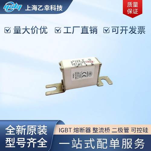 巴斯曼熔断器 170M1313 170M1314 170M1315 170M1316 170M1317