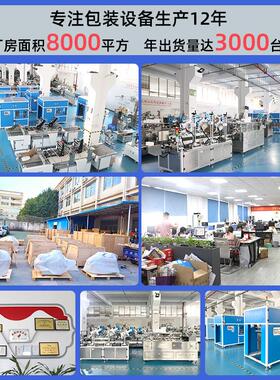 红包纸利是纸LSM自动点数套装袋机贴儿袋童贴自动制袋入袋套袋机