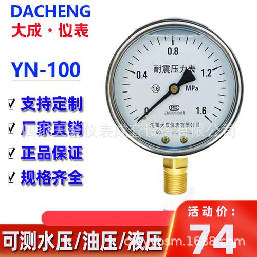 【大成】不锈钢压力表YN-100水压液压表耐震充油款气压表2.5MPA