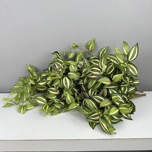 森系婚礼布置仿真绿色植物壁挂花 门楣门头装饰仿真假花紫眼眉叶