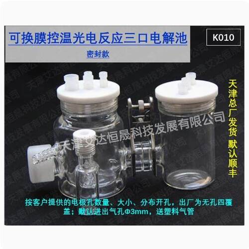 天津艾达恒晟H型可换膜控温光电池K010三口密封原厂发货