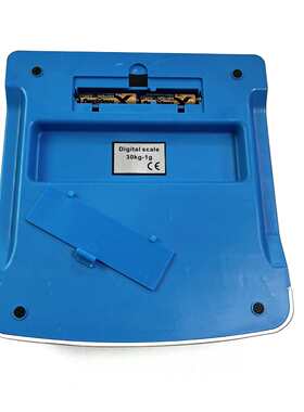 厨房计价30kg 台秤水果计价秤小型称外贸秤dt580秤电子秤计数