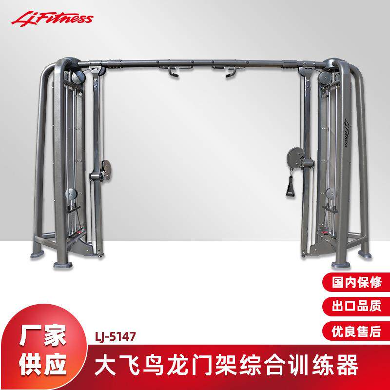 健身房健身器材大飞鸟综合训练器商用室内运动力量器械龙门架