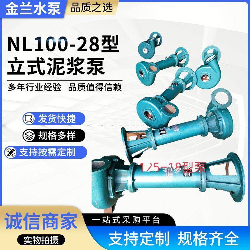 NL100-28型立式泥浆泵4寸22KW扬程160立方铸铁液下水泵