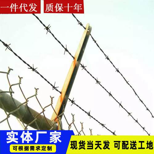 防盗刺绳防护网铁刺绳网刺铁丝防爬刺铁蒺藜围栏墙镀锌隔离栅栏