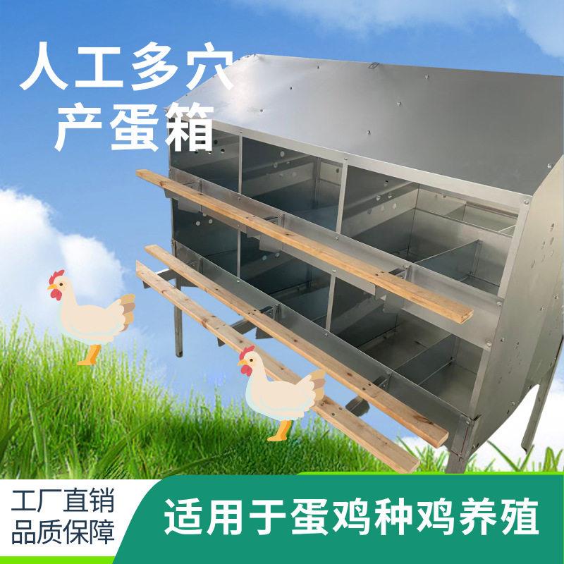 多穴产蛋箱人工捡蛋便捷防啄蛋防破损养鸡场鸡窝设备商家直销