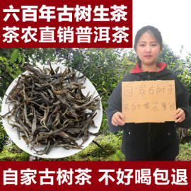 明前头春六百年古树，纯料普洱茶生茶散茶，云南茶农手工茶叶500g