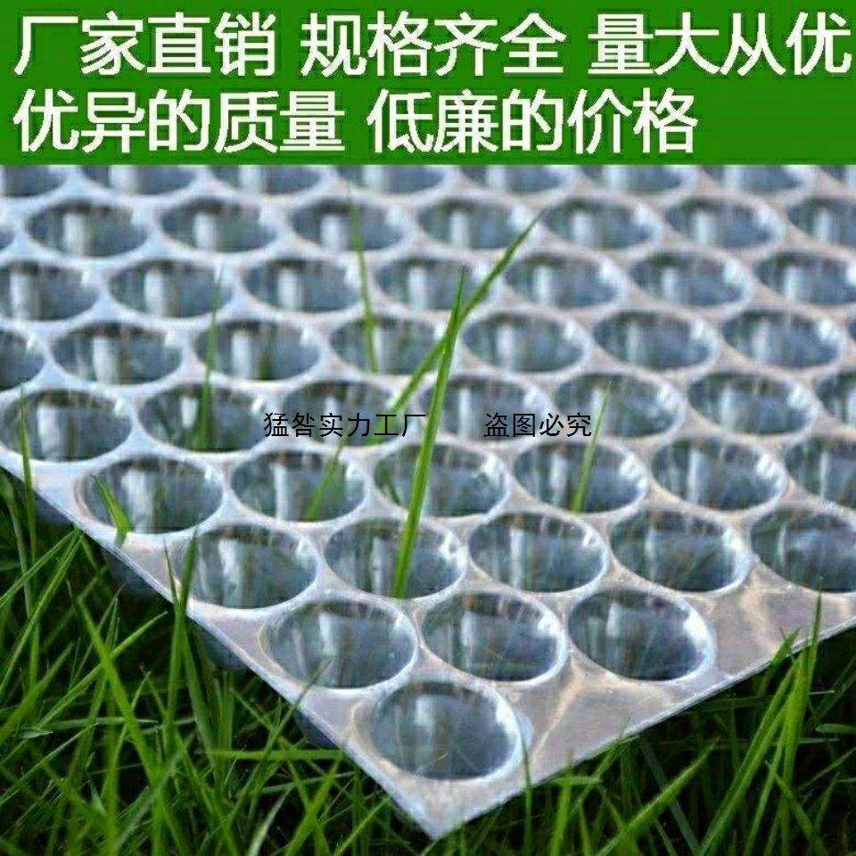 水稻育秧盘水稻苗盘人工抛秧盘手抛秧盘353孔434孔新料透明加厚