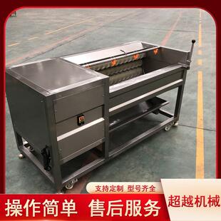 新品 土豆清洗去皮机毛辊清洗去皮机 果蔬清洗机 高压清洗机 推荐