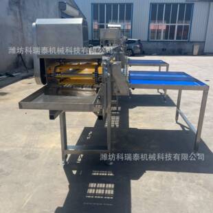 商用大型鸡蛋自动分级机电子分选设备精准度高产量大