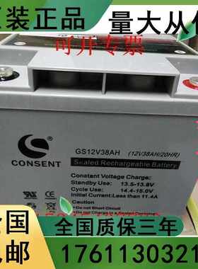 CONSENTGS12V38AH 阀控式免维护UPS太阳能/路灯/机房