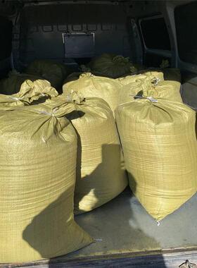 锯末杨木粉锯末刨花 货源充足量大从优松木锯末可吸油使用锯末