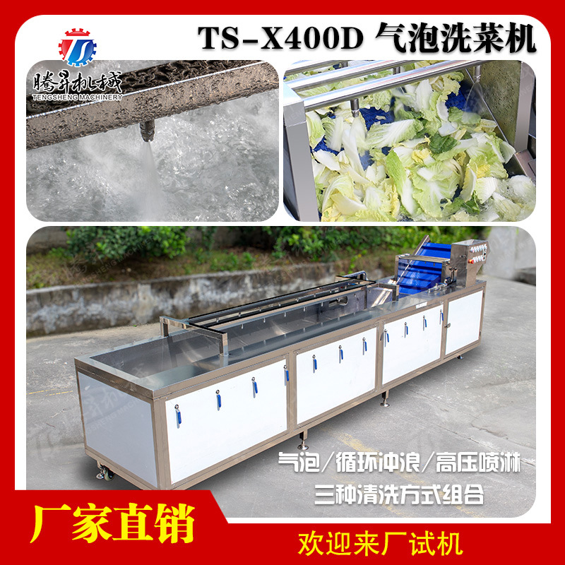 工厂直销 果蔬气泡清洗机李子辣椒蓝莓大枣多功能商用杀菌洗菜机