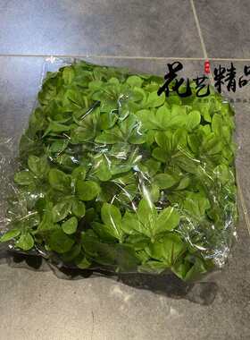 330片高品质树叶仿真马醉木叶子单片七星叶日式吊钟景观绢花摆放
