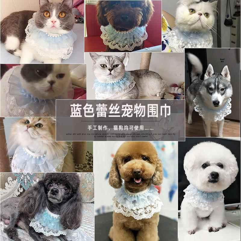 宠物口水巾宠物围脖猫围巾可爱猫咪配饰狗狗围嘴猫猫装饰蓝色蕾丝