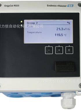 E+H恩德斯豪斯模拟式电极CPS71E-BA7BTC2原装