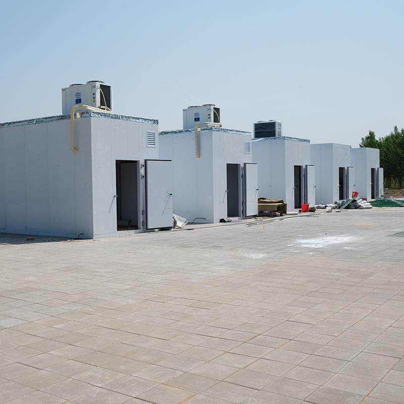 厂家冷冻移动设备酒店食堂水果和蔬菜冷藏用步入式冷藏室餐饮冷库