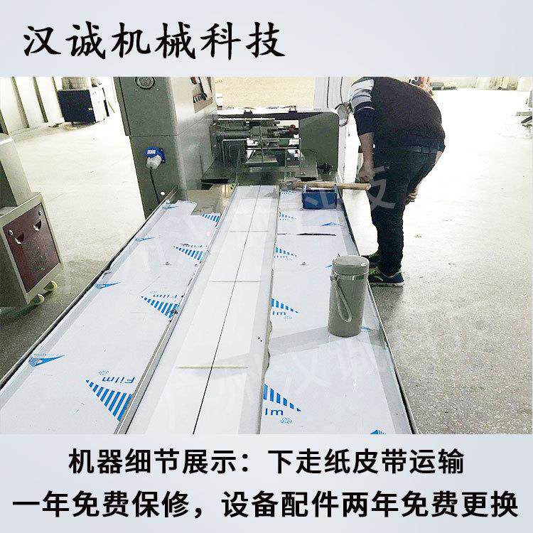 广西柿服饼动包装机 单个柿子饼品打包机 全自食高速伺枕HC-350XZ