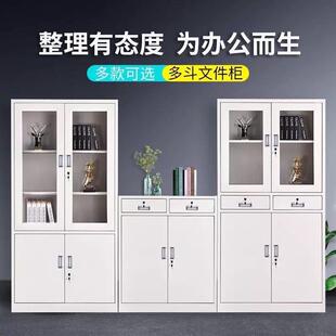 铁皮储物柜家用档案柜文柜钢资料柜财务凭证办公件室制RUE柜矮柜