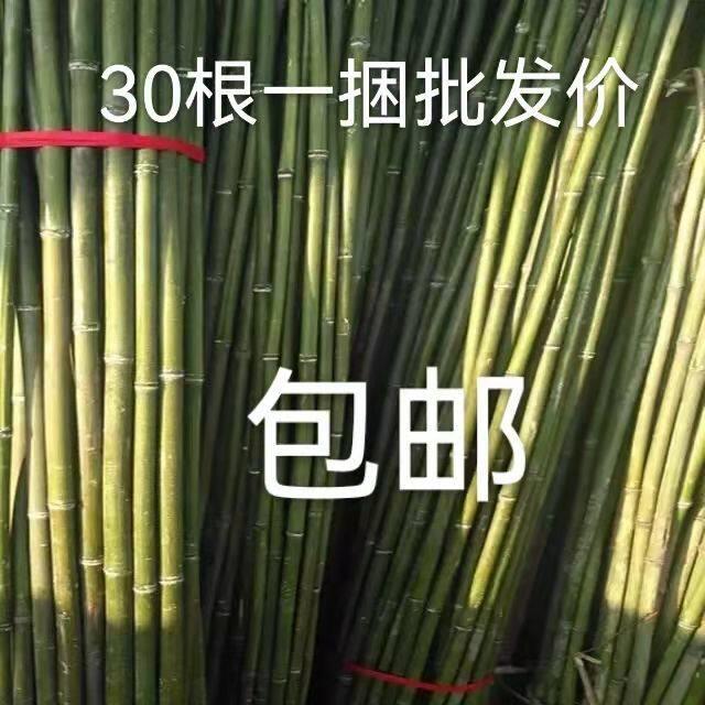 .小竹竿菜架竹黄瓜豆角架番茄爬藤架竹竿搭架棋杆果树支撑竹竿