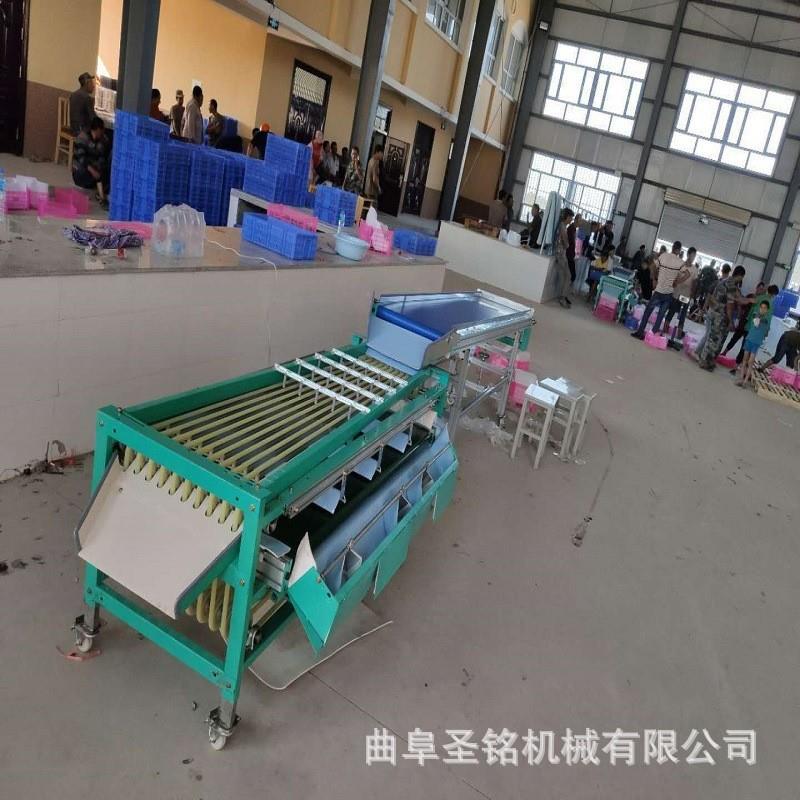商用核桃黄皮果选果机 轨道式红枣小灰枣分选机 家用李子选果机