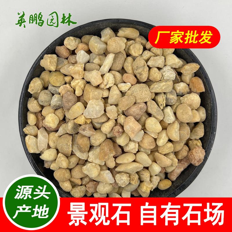 英鹏石场黄金砂白色机制鹅卵石园艺造景铺面用白石米