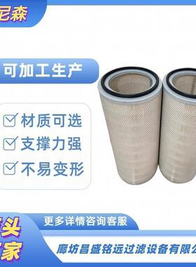 除尘器滤芯20X660物料输送集尘器滤筒50X660