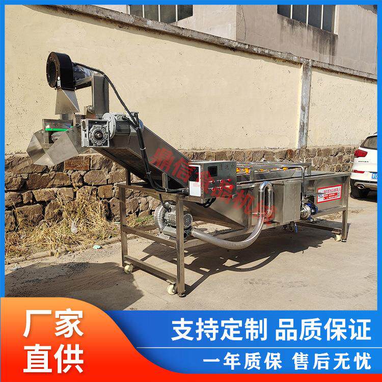 葡萄干气泡清洗机 不锈钢枸清洗设备 果蔬清洗机 机械