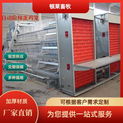 全自动阶梯式蛋鸡笼自动化清粪喂料养殖场工厂阶梯鸡笼热镀锌材质