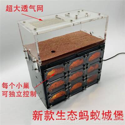 蚂蚁箱堡带夜灯饲养盒豪华宠物蚂蚁工坊亚克力沙巢蚁巢