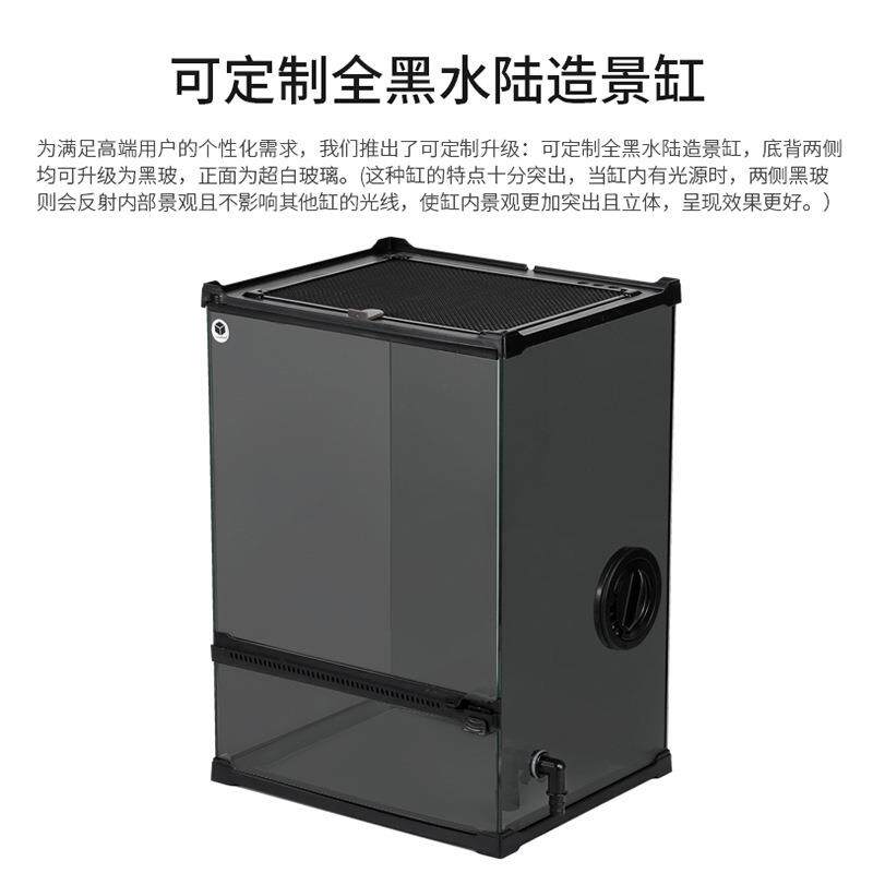 热带雨林爬宠生态缸微景观苔藓植物景观缸黑玻水陆裸缸桌面造景缸图片