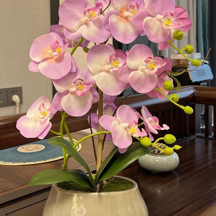 花蝴F966985J蝶兰套手感假花盆栽客厅餐花桌摆放绢中陶瓷装花卉摆