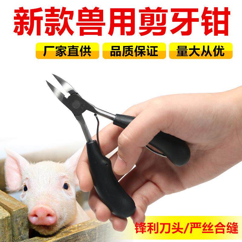 猪用剪牙钳不锈钢剪齿钳仔猪养殖设备断牙钳兽用仔猪修剪牙剪牙钳