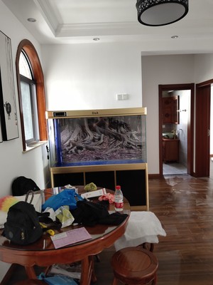 来评评德克鱼缸怎么样,属于什么档次?