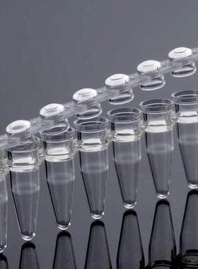 60-0088巴罗克 0.2ml PCR 8联管 平盖PCR管 透明