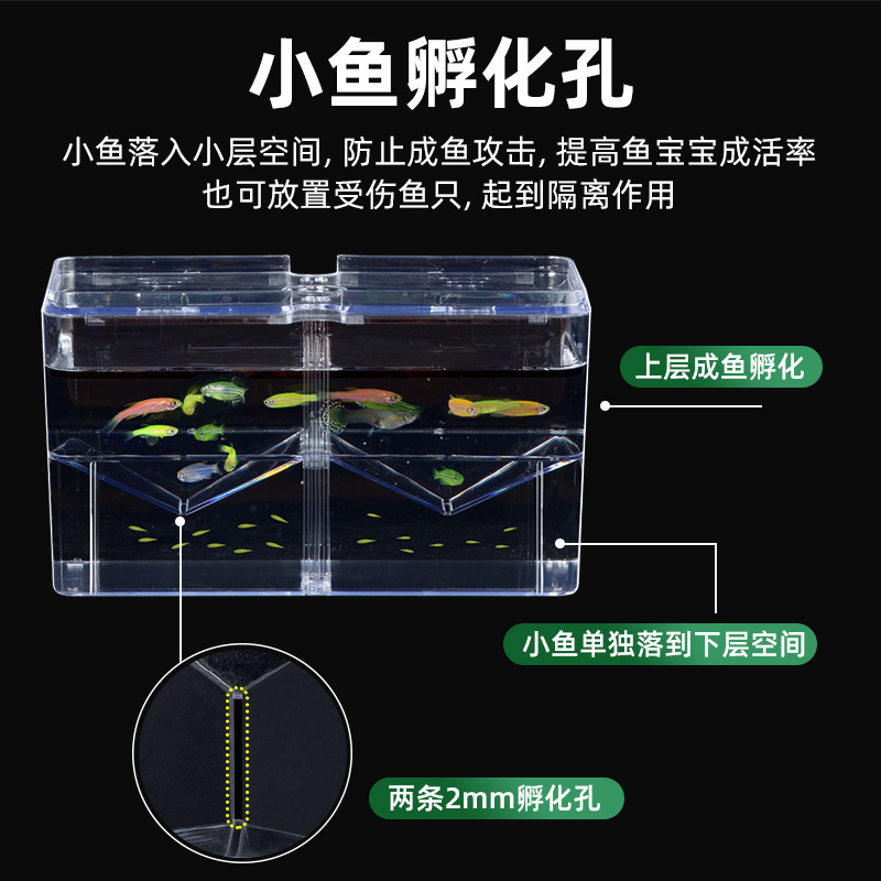 斗鱼孵化孵化其它水族用具设备