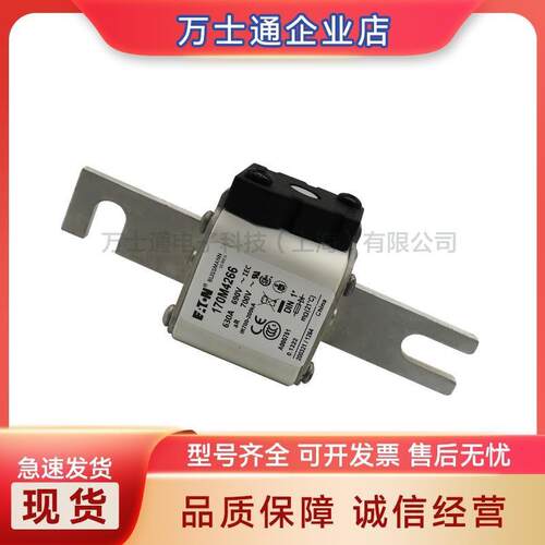 170M4067170M4068170M4069170M5058170M5059170M5060熔断器