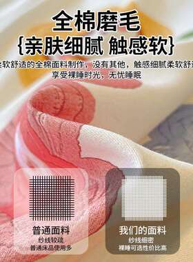 磨毛床上冬用品四件套纯棉全棉秋季BENZHI-天加三厚被套被罩件床