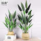 美人蕉蕉美人树室内外绿仿真摆件假水旅人装 饰仿真客厅植场景盆栽