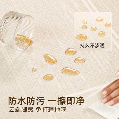 地毯客厅2024新款奶油风免洗可擦沙发茶几毯轻奢高级房间防水地垫