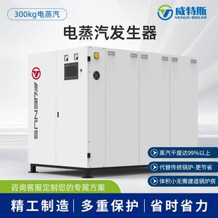 m² 300KG威特斯电蒸气蒸汽发生器体积小超低氮NOx＜30mg