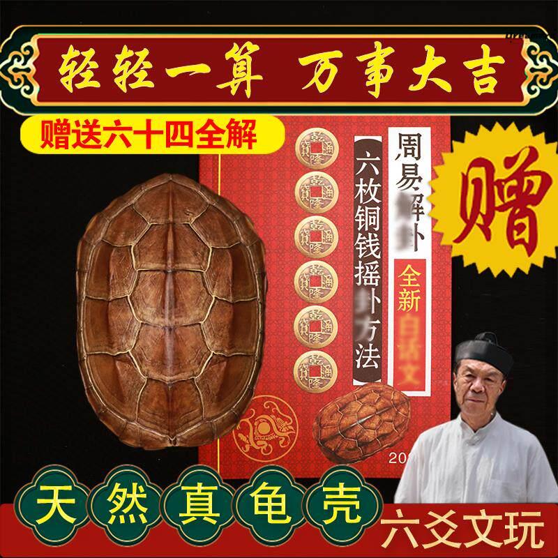天然真乌龟壳草龟甲文玩六爻起卦六十四卦摇卦工具乾隆铜钱手厂家