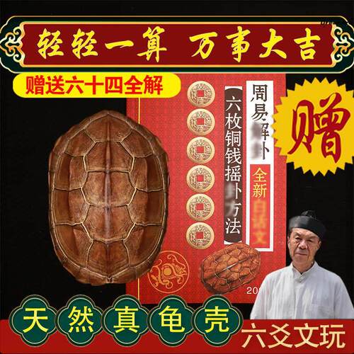 天然真乌龟壳草龟甲文玩六爻起卦六十四卦摇卦工具乾隆铜钱手厂家