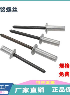 GB12615铝铁封闭型平圆头抽芯铆钉 密封3.2 4.8 5 6.4元头拉铆钉