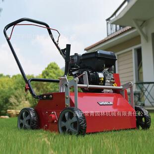 B50草坪梳理S机GX160 沃WOR护LD草坪ILN养系列2得0寸梳草机RSE20
