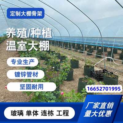 大棚钢管骨架种植蔬菜牛羊养殖椭圆棚养殖大棚支架椭圆管育苗棚