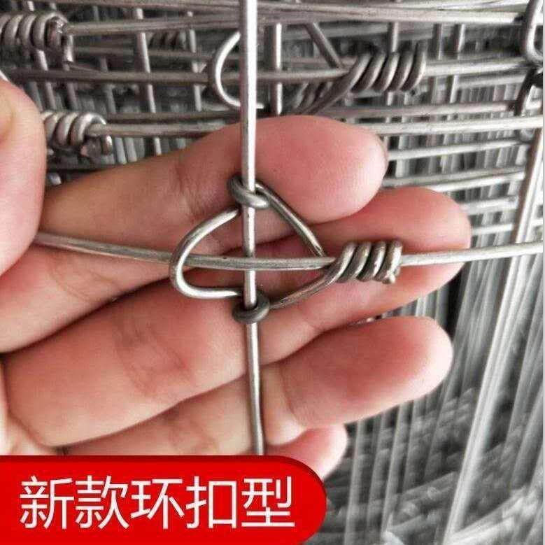 加粗热浸镀锌防锈钢丝网养殖网护栏网防护网牛栏网果园围栏养牛羊