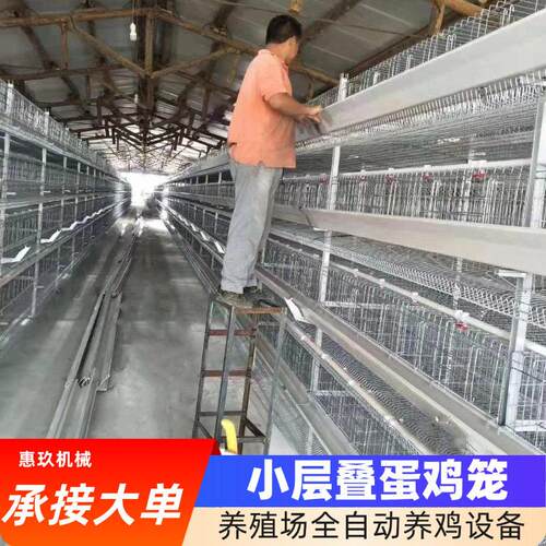小层叠蛋鸡笼鸡舍养鸡场智能化蛋鸡笼立体式全自动机械设备蛋鸡笼