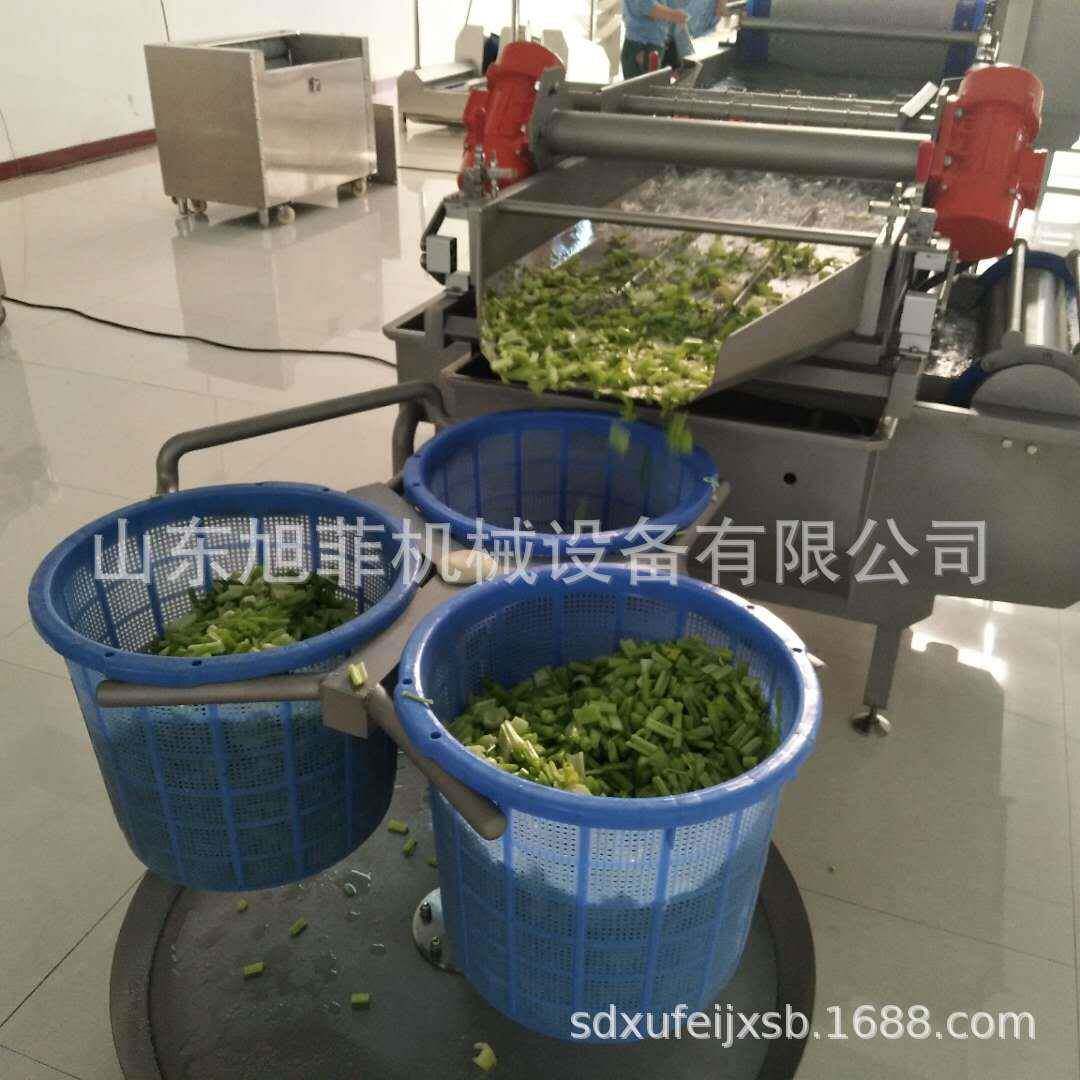 旋流清洗机净菜旋流沥水洗菜机低价销售